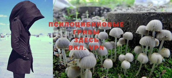 дмт Балабаново